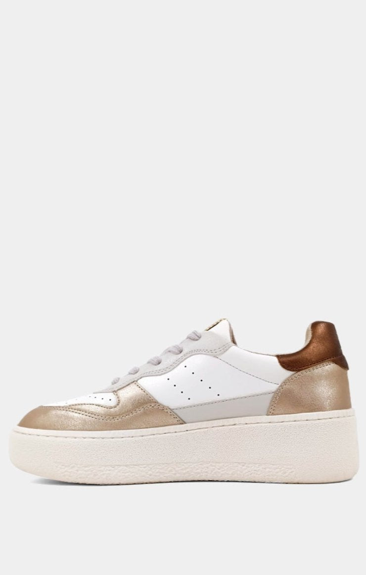 Sheena Sneaker / Gold